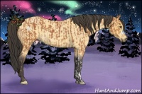 Horse Color:Bay  and Buckskin Roan 