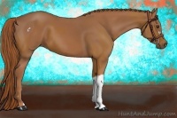 Horse Color:Chestnut and Chestnut