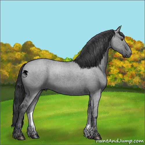 Horse Color:Grullo Chinchilla 