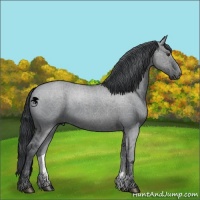 Horse Color:Grullo Chinchilla 