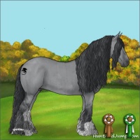 Horse Color:Grullo Chinchilla Brindle 