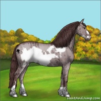 Horse Color:Chocolate Grullo Chinchilla Frame 