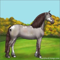Horse Color:White Spotted Chocolate Grullo Chinchilla