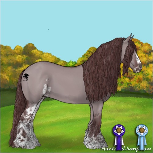 Horse Color:Chocolate Grullo Chinchilla Sabino 