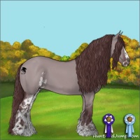 Horse Color:Chocolate Grullo Chinchilla Sabino