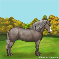 Horse Color:Silver Black Rabicano 