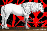 Horse Color:Gray Silver Amber Cream Champagne Roan Dun Splash Tobiano Frame Appaloosa Rabicano 