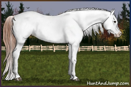 Horse Color:Bay Tobiano Varnish