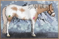 Horse Color:Silver Bay Dun Sabino Tobiano Frame Rabicano 