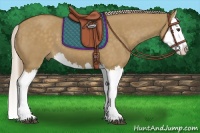 Horse Color:Chocolate Palomino Dun Splash 