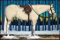 Horse Color:Silver Classic Champagne Dun 