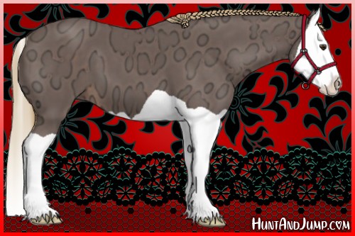 Horse Color:Liver Chestnut Ice Splash 