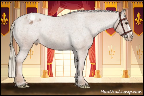Horse Color:Chestnut Varnish Rabicano