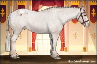 Horse Color:Chestnut Varnish Rabicano