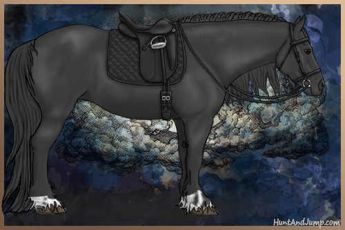 Horse Color:Black  and Black 