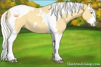Horse Color:Silver Amber Cream Champagne Splash Tobiano 