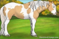 Horse Color:Silver Amber Champagne Splash Tobiano 
