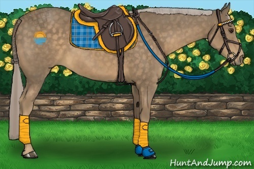 Horse Color:Chocolate Palomino 