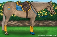 Horse Color:Chocolate Palomino 