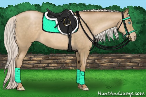 Horse Color:Silver Smoky Black Pearl 