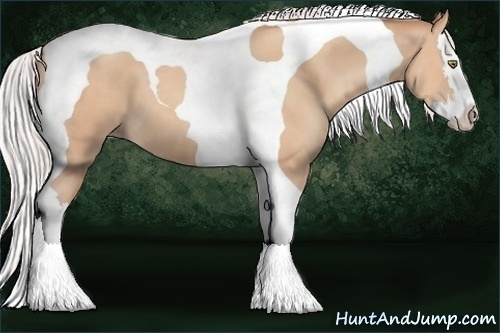 Horse Color:Silver Amber Champagne Splash Tobiano 