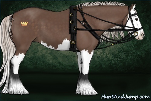 Horse Color:Silver Black Splash