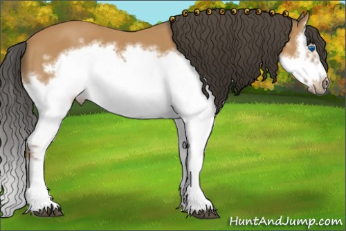Horse Color:Bay Splash Frame