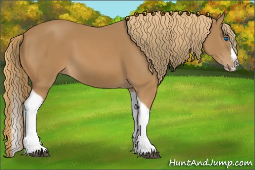 Horse Color:Chestnut Splash Tobiano 