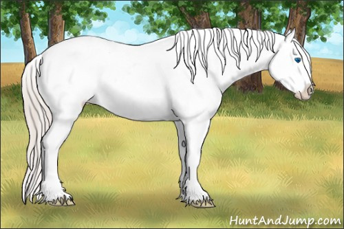 Horse Color:White Spotted Silver Bay Dun Splash Varnish