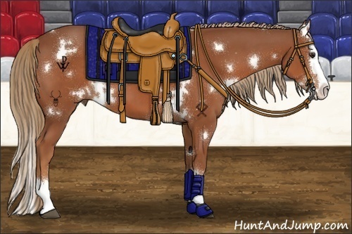 Horse Color:White Spotted Chestnut Splash