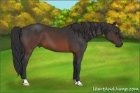 Horse Color:Brown 