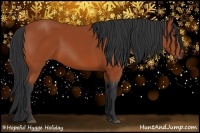 Horse Color:Bay Sabino 