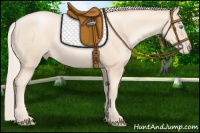 Horse Color:Gold Cream Champagne Pearl 