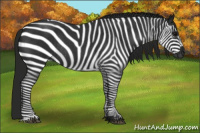 Horse Color:Gray Blue Roan Rabicano 