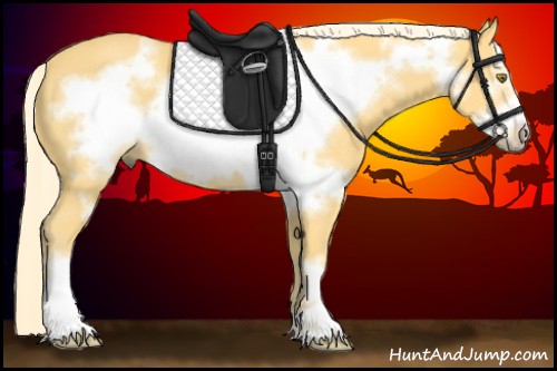 Horse Color:Palomino Frame 