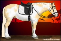 Horse Color:Palomino Frame 