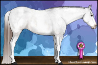 Horse Color:White Spotted Brown Roan Appaloosa