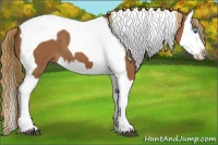 Horse Color:Chestnut Splash Tobiano 