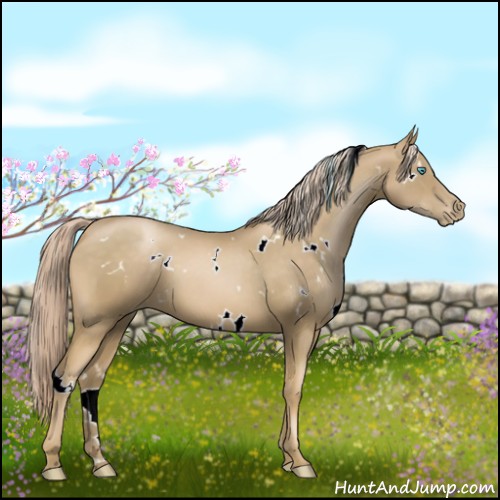 Horse Color:White Spotted Chocolate Palomino Pearl 