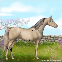 Horse Color:White Spotted Chocolate Palomino Pearl 
