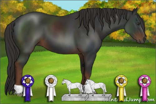 Horse Color:Gray Liver Chestnut 