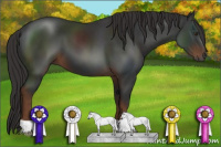 Horse Color:Gray Liver Chestnut 