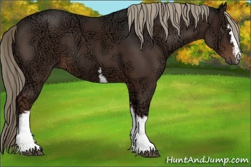 Horse Color:White Spotted Liver Chestnut Ice Sabino 