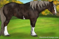 Horse Color:White Spotted Liver Chestnut Ice Sabino 
