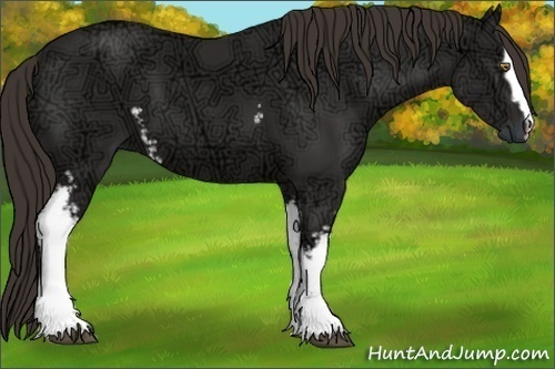 Horse Color:White Spotted Liver Chestnut Ice Sabino 