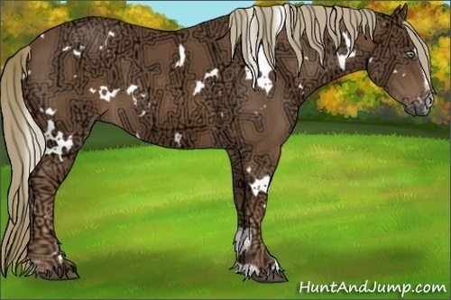 Horse Color:White Spotted Chestnut Ice Sabino 