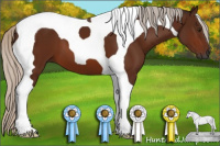Horse Color:Gray Silver Bay Tobiano 