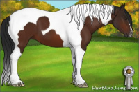 Horse Color:Gray Bay Tobiano 