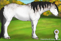 Horse Color:Gray White Spotted Bay