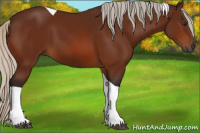 Horse Color:Gray Silver Bay Tobiano 